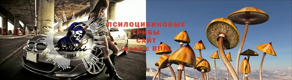 мдпв Касимов