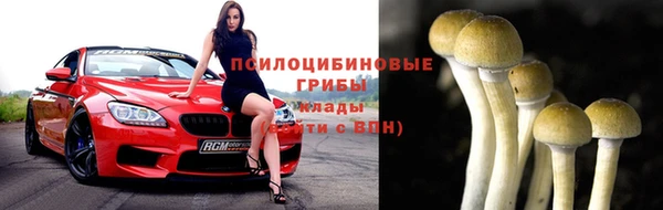 дмт Каменка