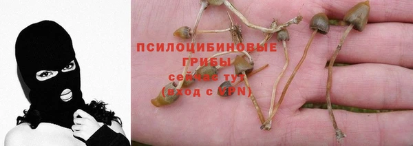 спиды Киренск