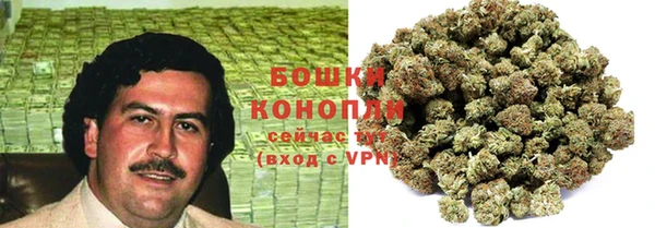мдпв Касимов