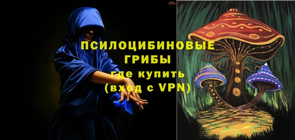 герыч Кинешма