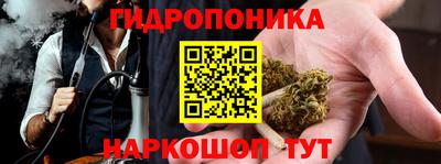 гашик Бузулук