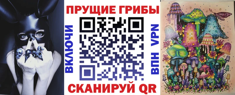 Галлюциногенные грибы MAGIC MUSHROOMS  где найти наркотики  Волжск 