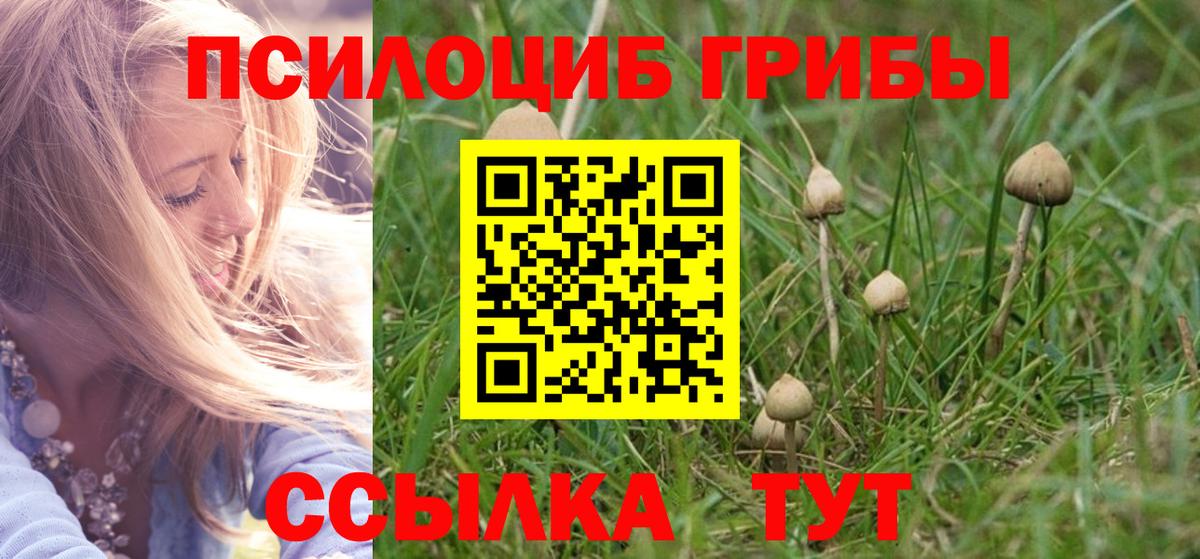 Волжск  Галлюциногенные грибы мухоморы  как найти   Псилоцибиновые грибы Psilocybine cubensis  Вход с VPN 