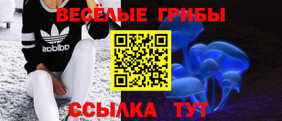 Псилоцибиновые грибы Magic Shrooms Волжск
