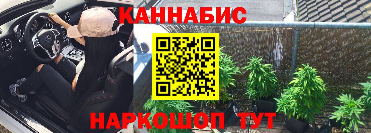 Каннабис AK-47  Шишки марихуана конопля  Шишки марихуана планчик  Волжск  Бошки Шишки ГИДРОПОН 